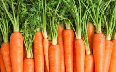 Is It True? Are Carrots Really Good for Improving Vision?
